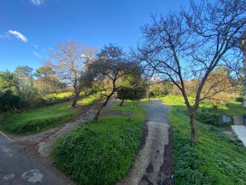 PISO 3 HABITACIONES C/ VIGO